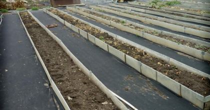 Садовые дорожки для дачи: Транспортерная лента как инновационное решение