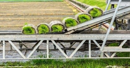 Транспортерные ленты и устойчивое развитие: влияние на окружающую среду