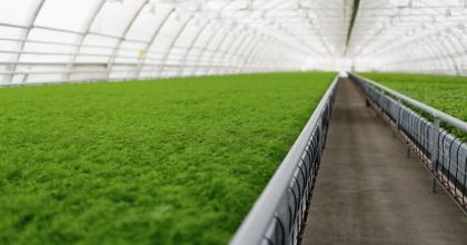 Транспортерные ленты в сельском хозяйстве: от сбора урожая до упаковки